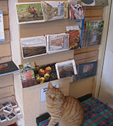 Local postcards and Hannah